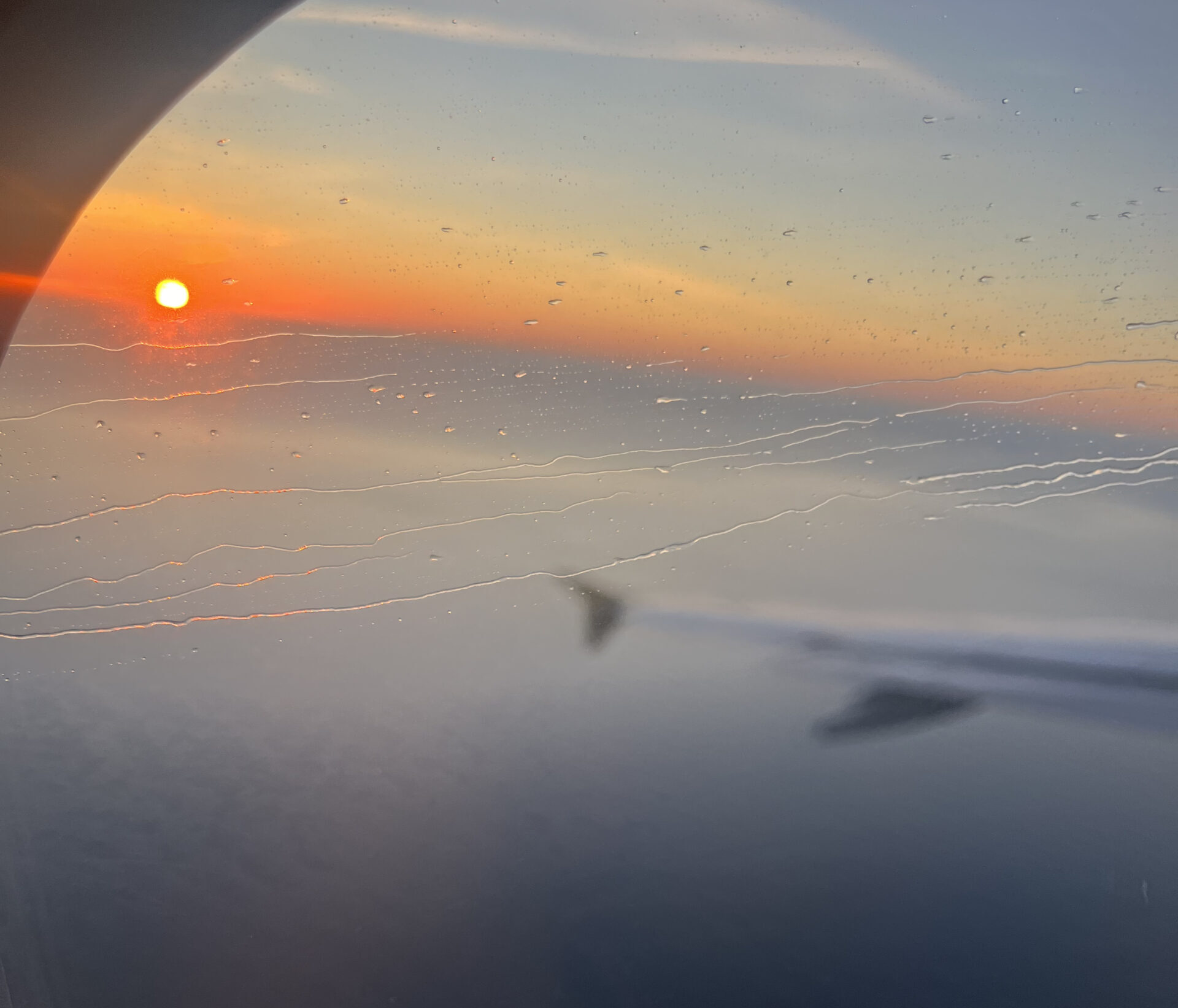 ¿Cómo impacta la gestión de emociones en tu desarrollo personal y profesional?